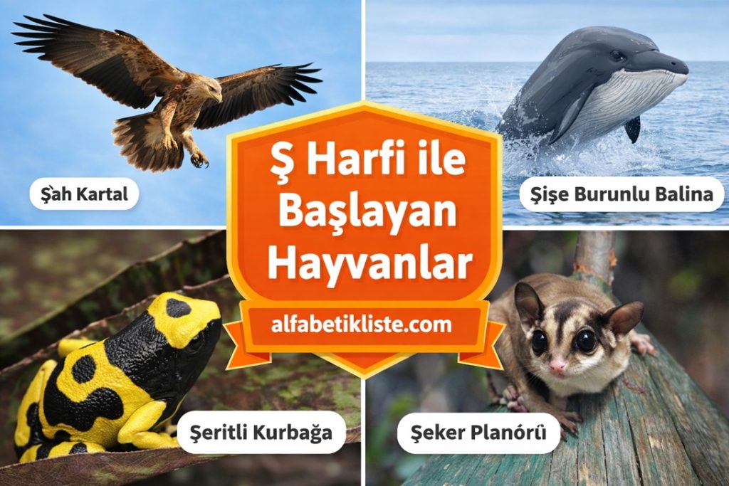 Ş Harfi ile Başlayan Hayvanlar