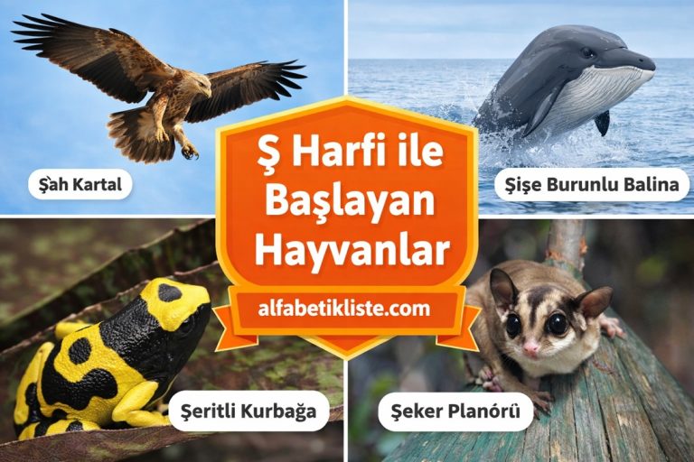 Ş Harfi ile Başlayan Hayvanlar